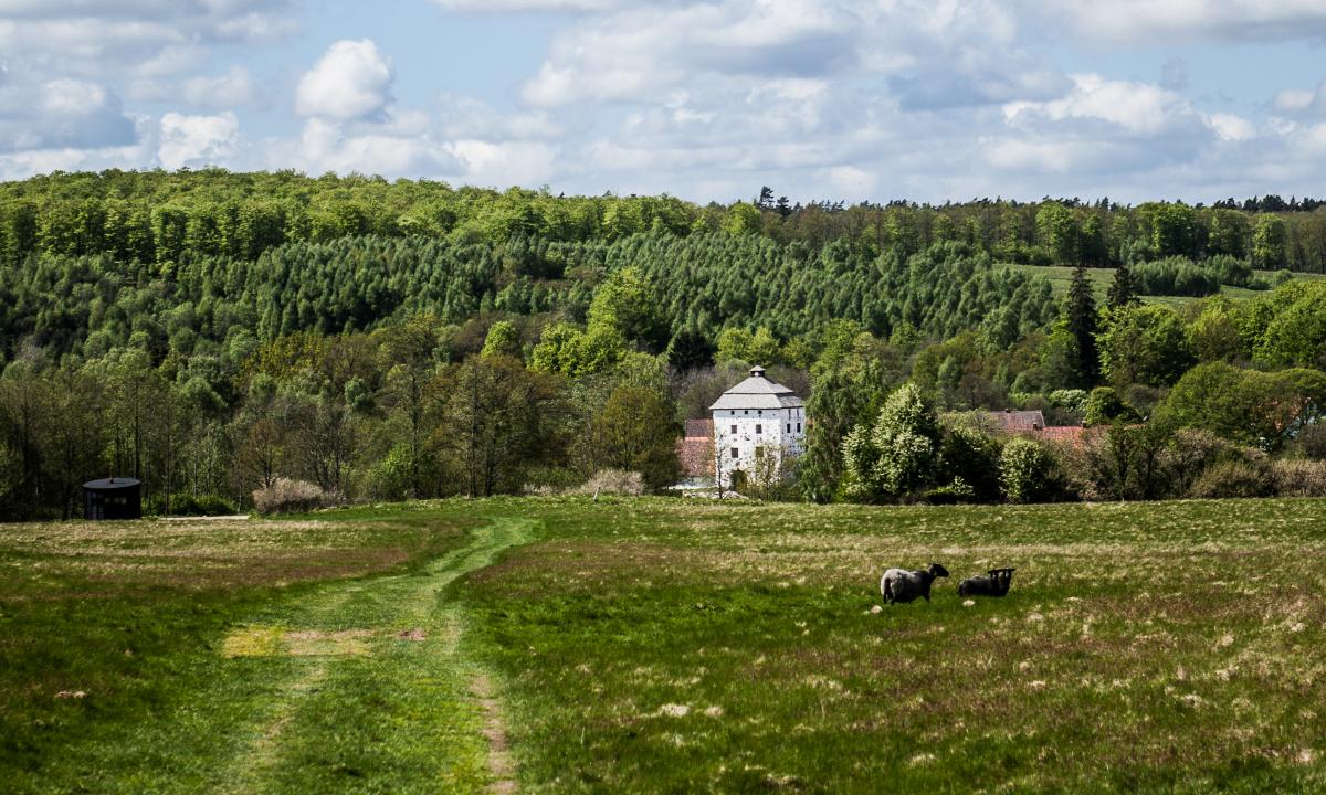 händer i skåne imorgon händer i skåne imorgon